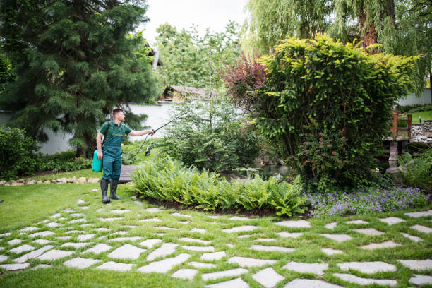 Best Ant Control Services  in Clisle, AR