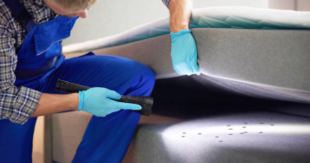 Best Flea Control Services  in Clisle, AR