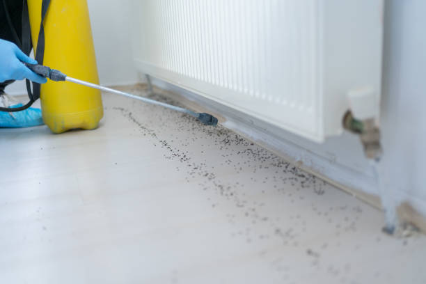 Professional Pest Control in Carlisle, AR