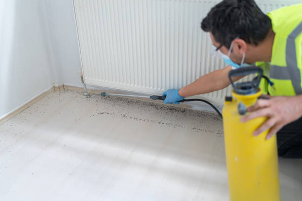 Wasp Removal Services in Carlisle, AR