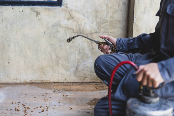 Best Pest Control Treatment  in Clisle, AR